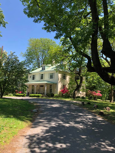 A charming house with green roof surrounded by trees and a driveway on a sunny day.